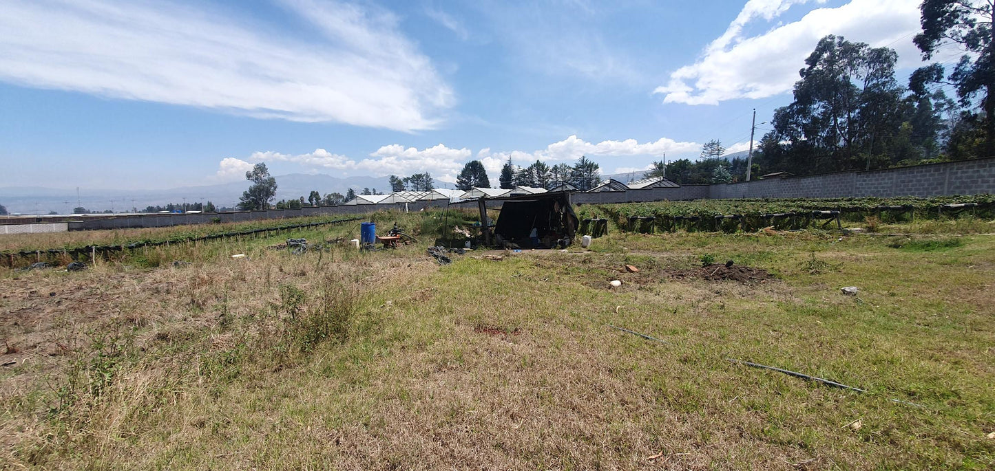 SE VENDE TERRENO EN EL QUINCHE