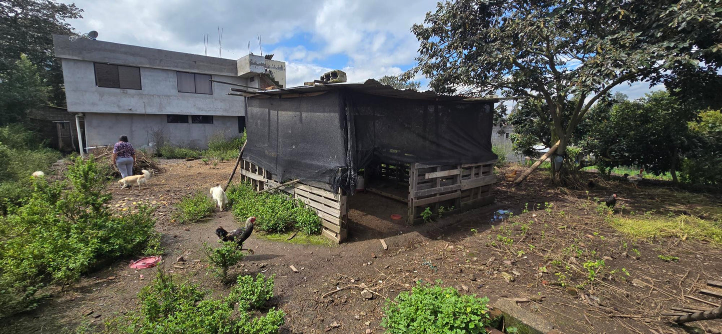 Se Vende Terreno en Tababela