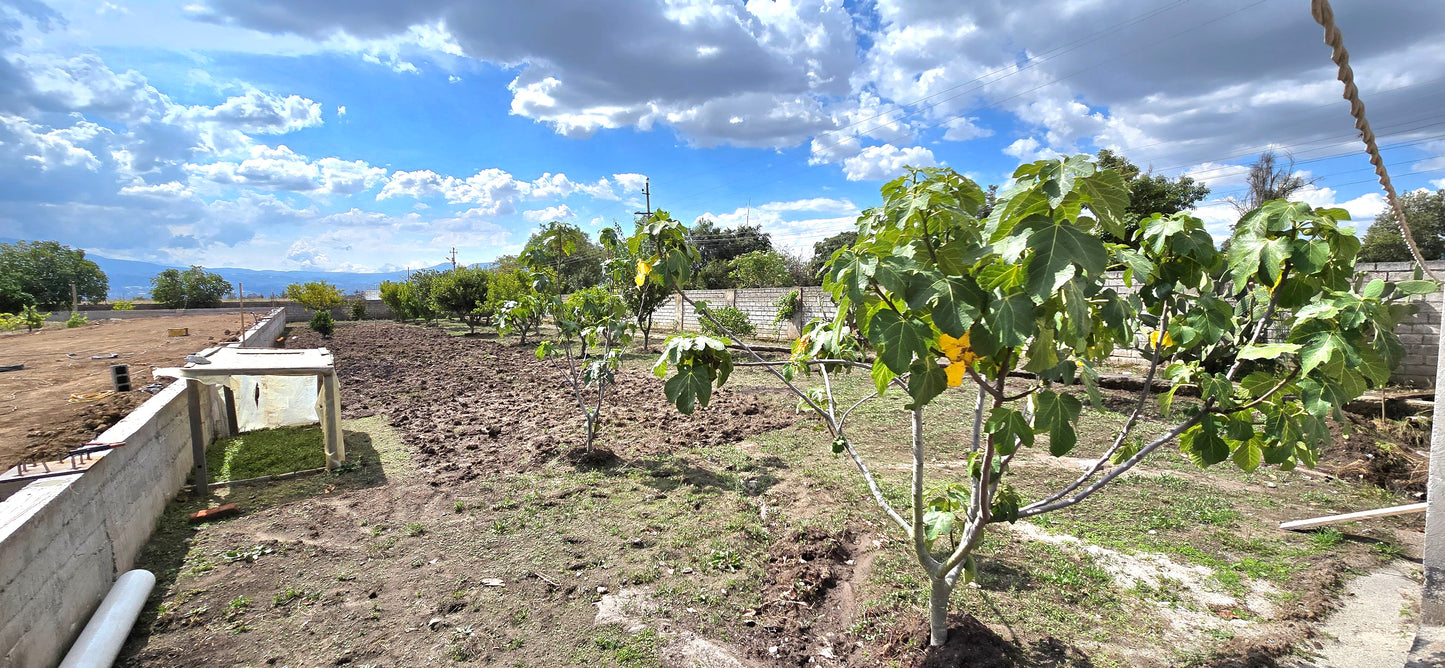 SE VENDE TERRENO CON GALPONES EN YARUQUI