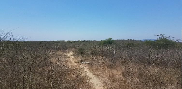 SE VENDE TERRENO EN MANTA PROVINCIA DE MANABI.