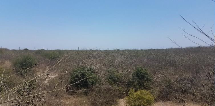 SE VENDE TERRENO EN MANTA PROVINCIA DE MANABI.