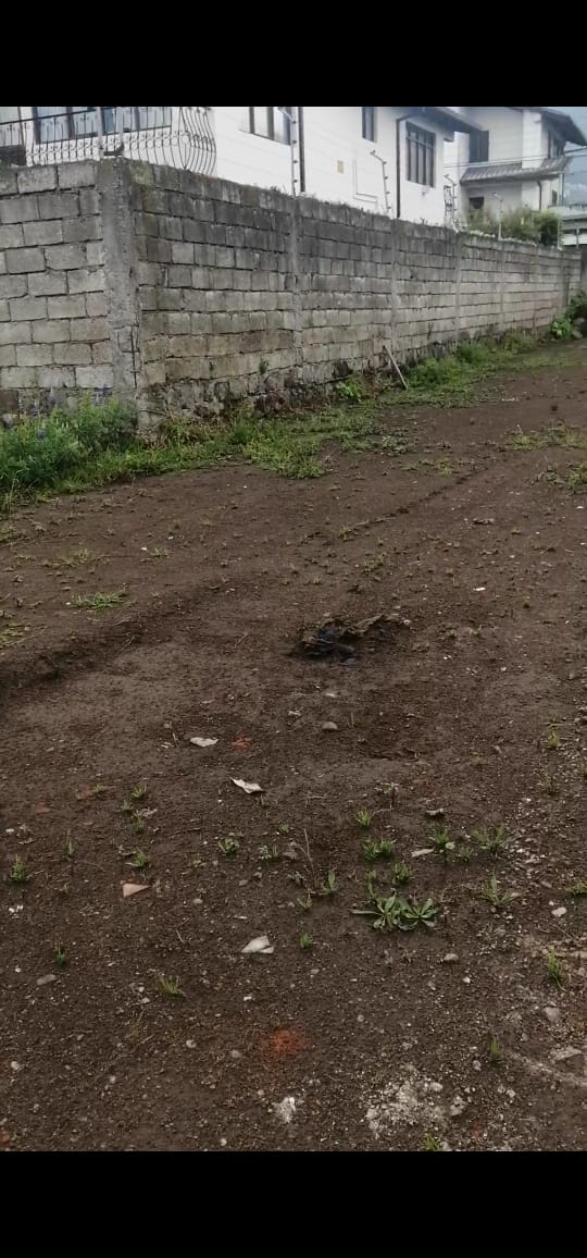 SE ARRIENDA TERRENO SECTOR PARQUE BICENTENARIO - ANTIGUO AEROPUERTO