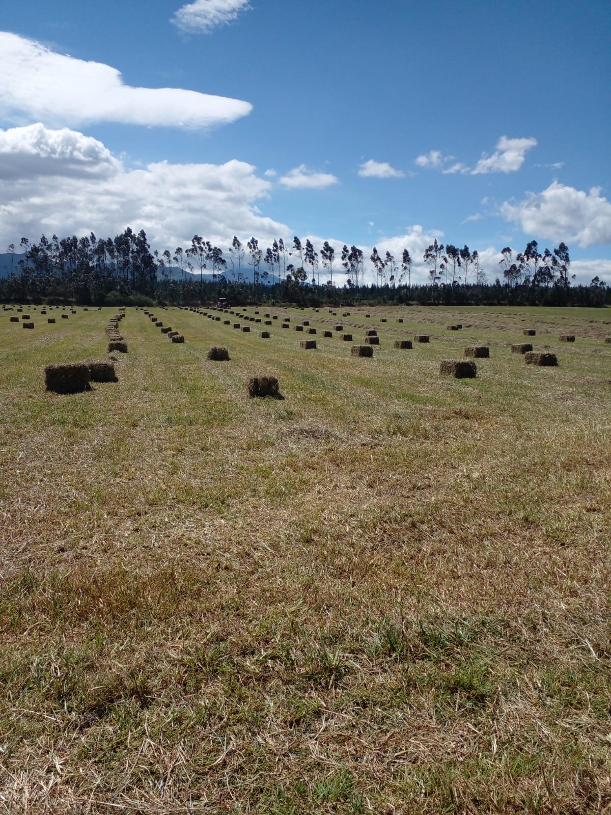 SE VENDE FINCA EN EL SECTOR DE LASSO PROVINCIA DE COTOPAXI