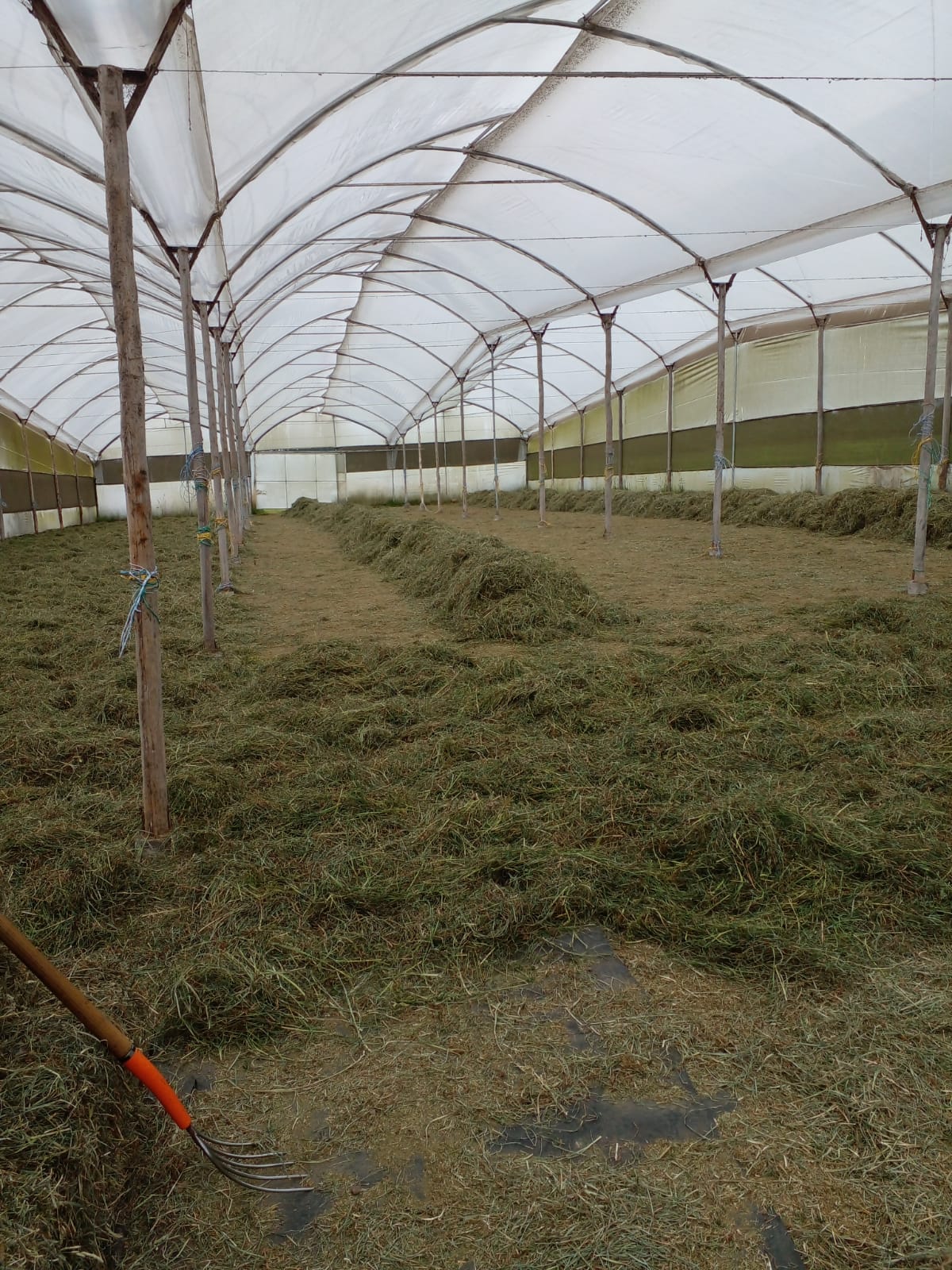 SE VENDE FINCA EN EL SECTOR DE LASSO PROVINCIA DE COTOPAXI