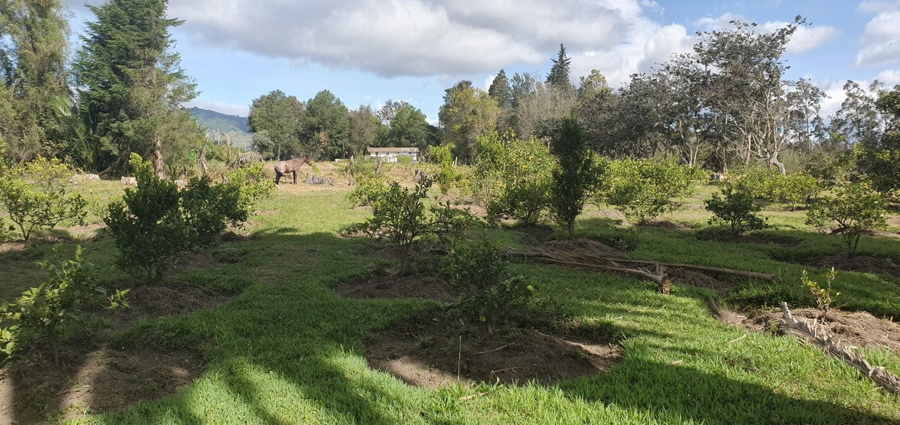 Se Vende Terreno en Yaruqui