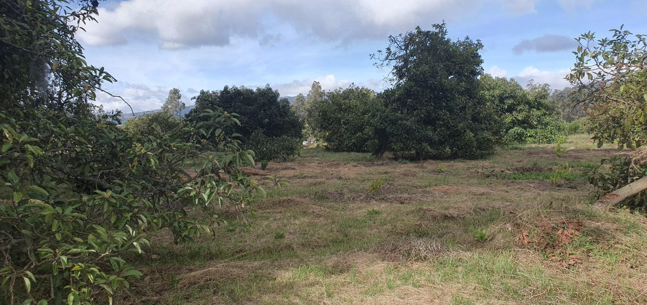 Se Vende Terreno en Yaruqui