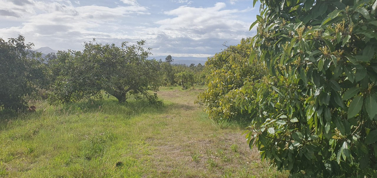 Se Vende Terreno en Yaruqui