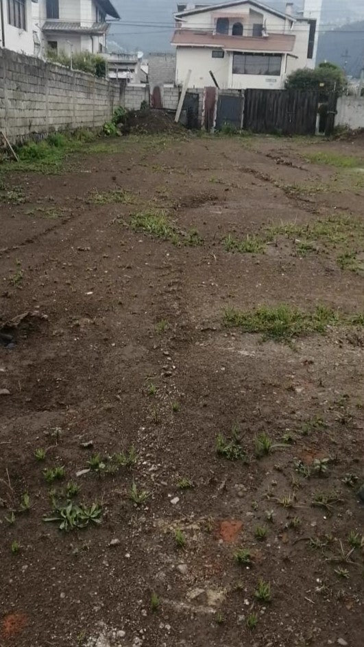 SE ARRIENDA TERRENO SECTOR PARQUE BICENTENARIO - ANTIGUO AEROPUERTO