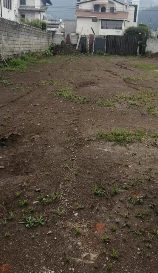 SE ARRIENDA TERRENO SECTOR PARQUE BICENTENARIO - ANTIGUO AEROPUERTO
