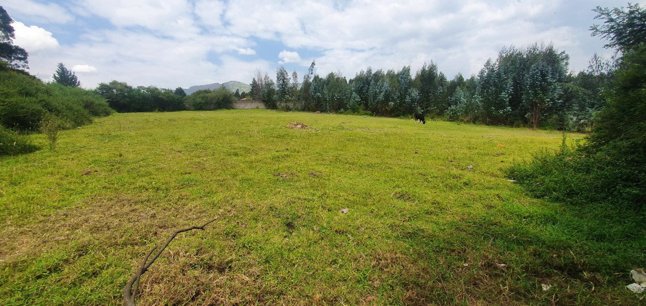 SE VENDE TERRENO EN EL VALLE DE LOS CHILLOS SECTOR ALANGASI. 1200 m2