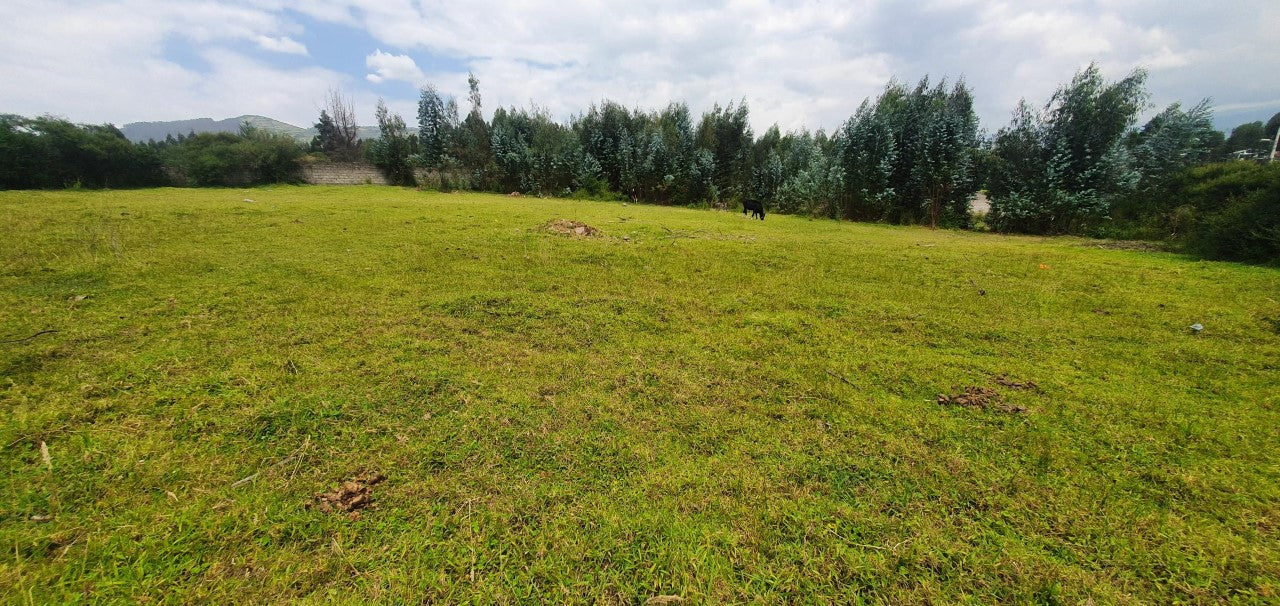 SE VENDE TERRENO EN EL VALLE DE LOS CHILLOS SECTOR ALANGASI. 1200 m2