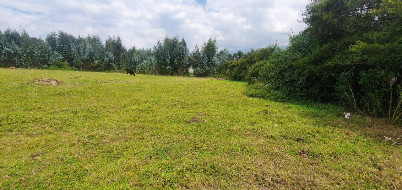 SE VENDE TERRENO EN EL VALLE DE LOS CHILLOS SECTOR ALANGASI. 1200 m2