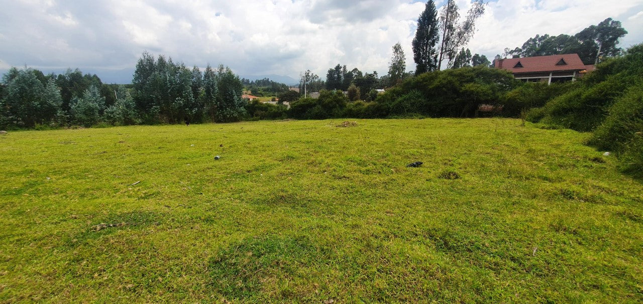 SE VENDE TERRENO EN EL VALLE DE LOS CHILLOS SECTOR ALANGASI. 1200 m2