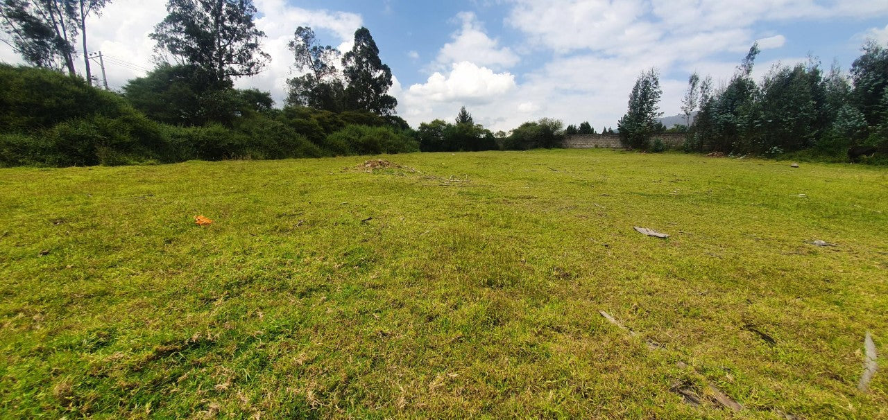 SE VENDE TERRENO EN EL VALLE DE LOS CHILLOS SECTOR ALANGASI. 1200 m2