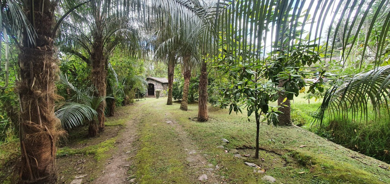 SE VENDE QUINTA-TERRENNO CON CASA EN EL SECTOR DE AMAGUAÑA.