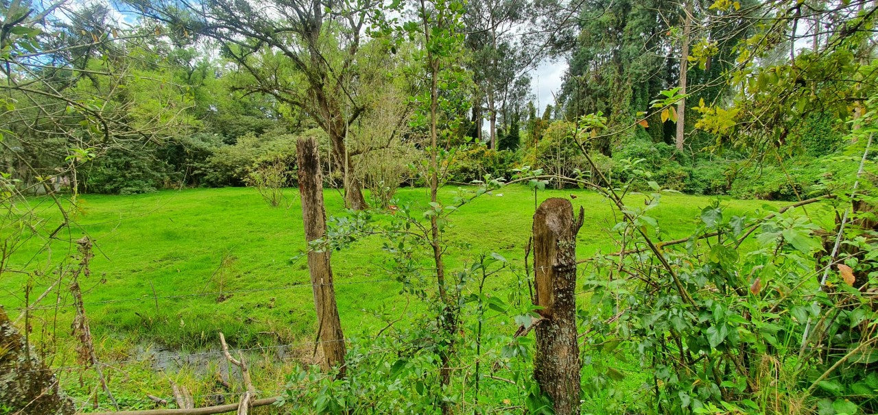 SE VENDE QUINTA-TERRENNO CON CASA EN EL SECTOR DE AMAGUAÑA.