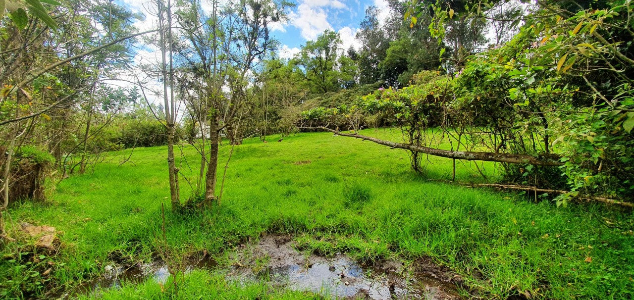 SE VENDE QUINTA-TERRENNO CON CASA EN EL SECTOR DE AMAGUAÑA.