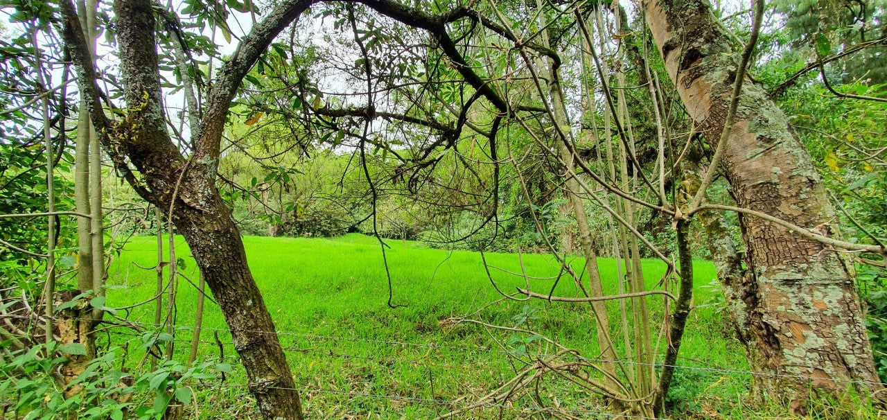 SE VENDE TERRENO EN AMAGUAÑA, A POCOS METROS DE LA VIA PRINCIPAL.
