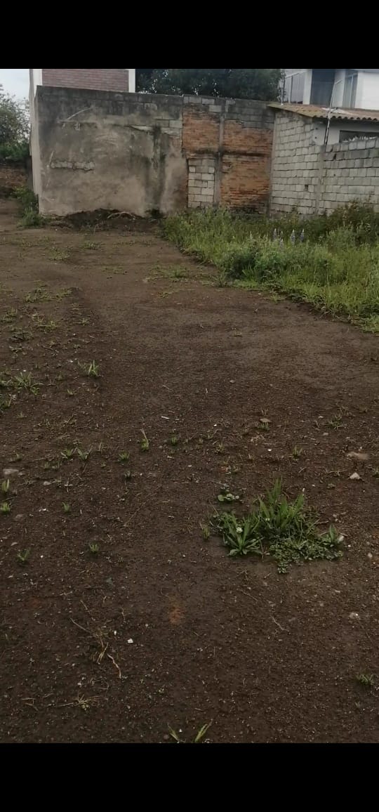 SE ARRIENDA TERRENO SECTOR PARQUE BICENTENARIO - ANTIGUO AEROPUERTO