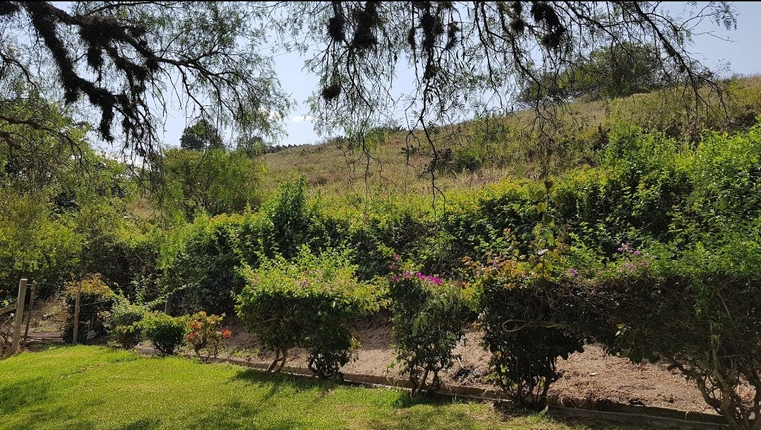Se Vende Restaurante - Finca en Guayllabamba