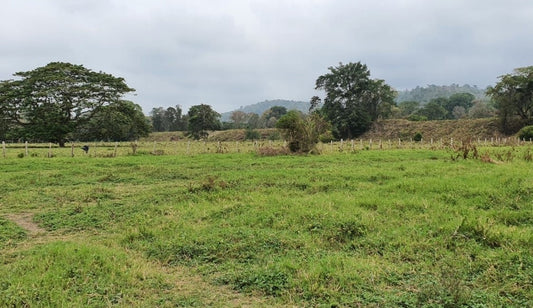 Se Vende Terreno en La Provincia de Esmeraldas