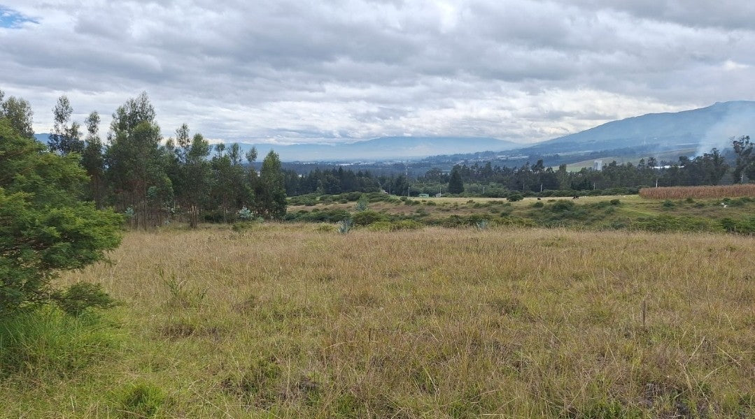 SE VENDE TERRENO EN EL SECTOR DE PIFO EL INGA