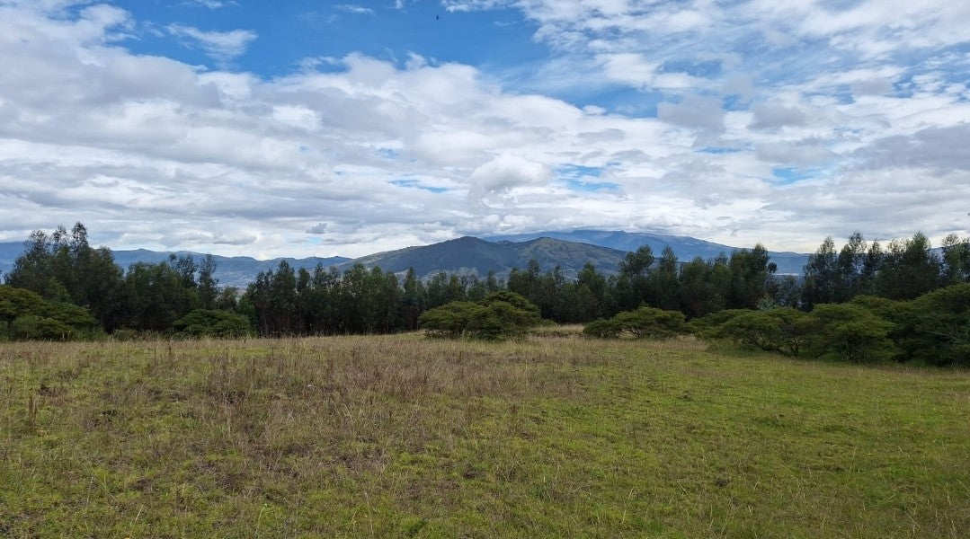 SE VENDE TERRENO EN EL SECTOR DE PIFO EL INGA