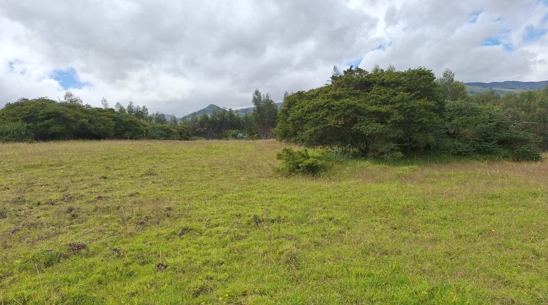 SE VENDE TERRENO EN EL SECTOR DE PIFO EL INGA