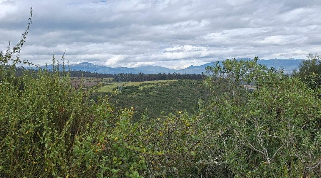 SE VENDE TERRENO EN EL SECTOR DE PIFO EL INGA