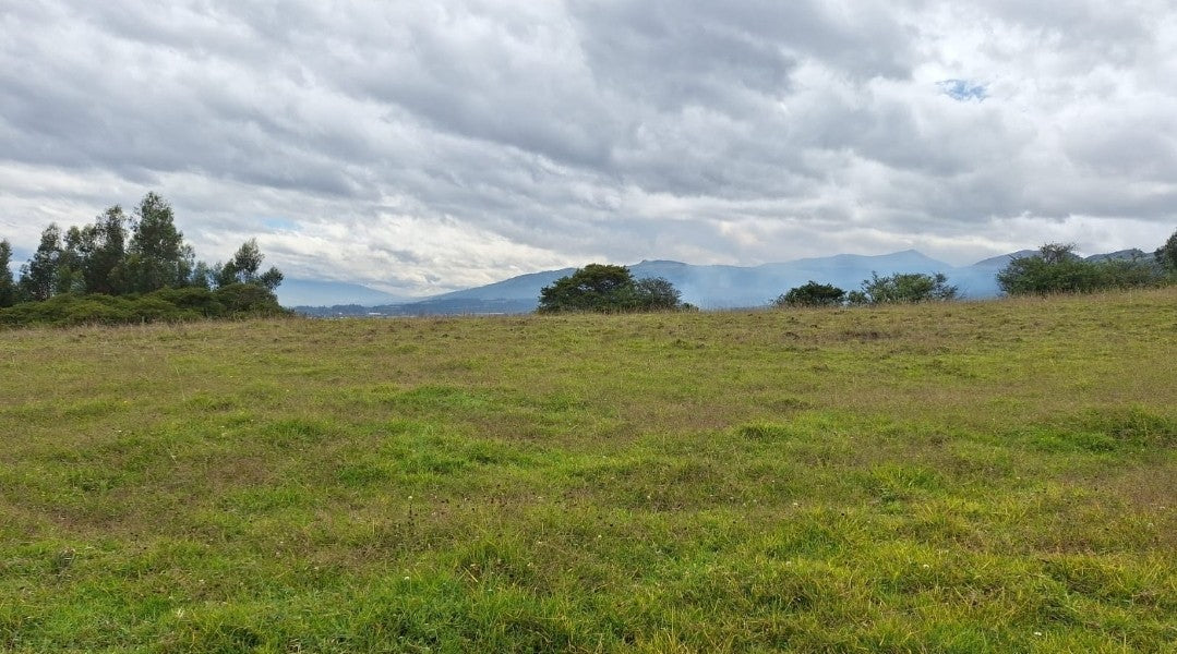 SE VENDE TERRENO EN EL SECTOR DE PIFO EL INGA