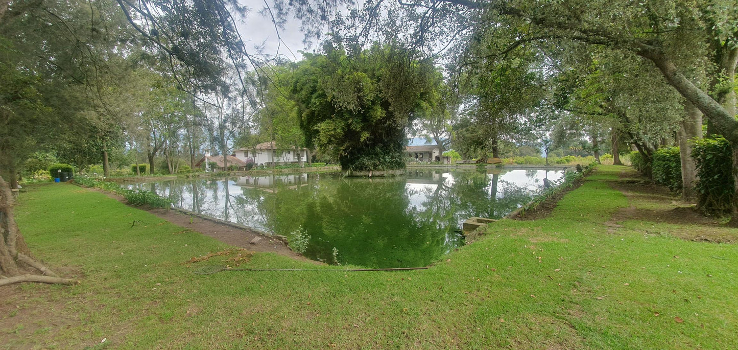 SE VENDE TERRENO - FINCA - EN YARUQUI