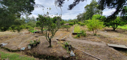 SE VENDE TERRENO - FINCA - EN YARUQUI