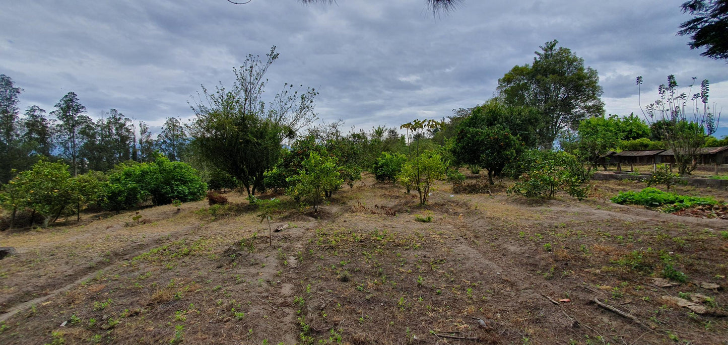 SE VENDE TERRENO - FINCA - EN YARUQUI