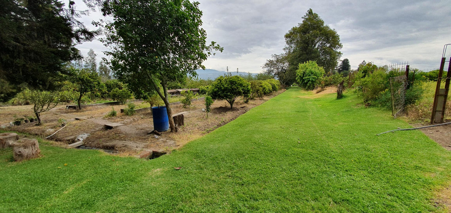 SE VENDE TERRENO - FINCA - EN YARUQUI