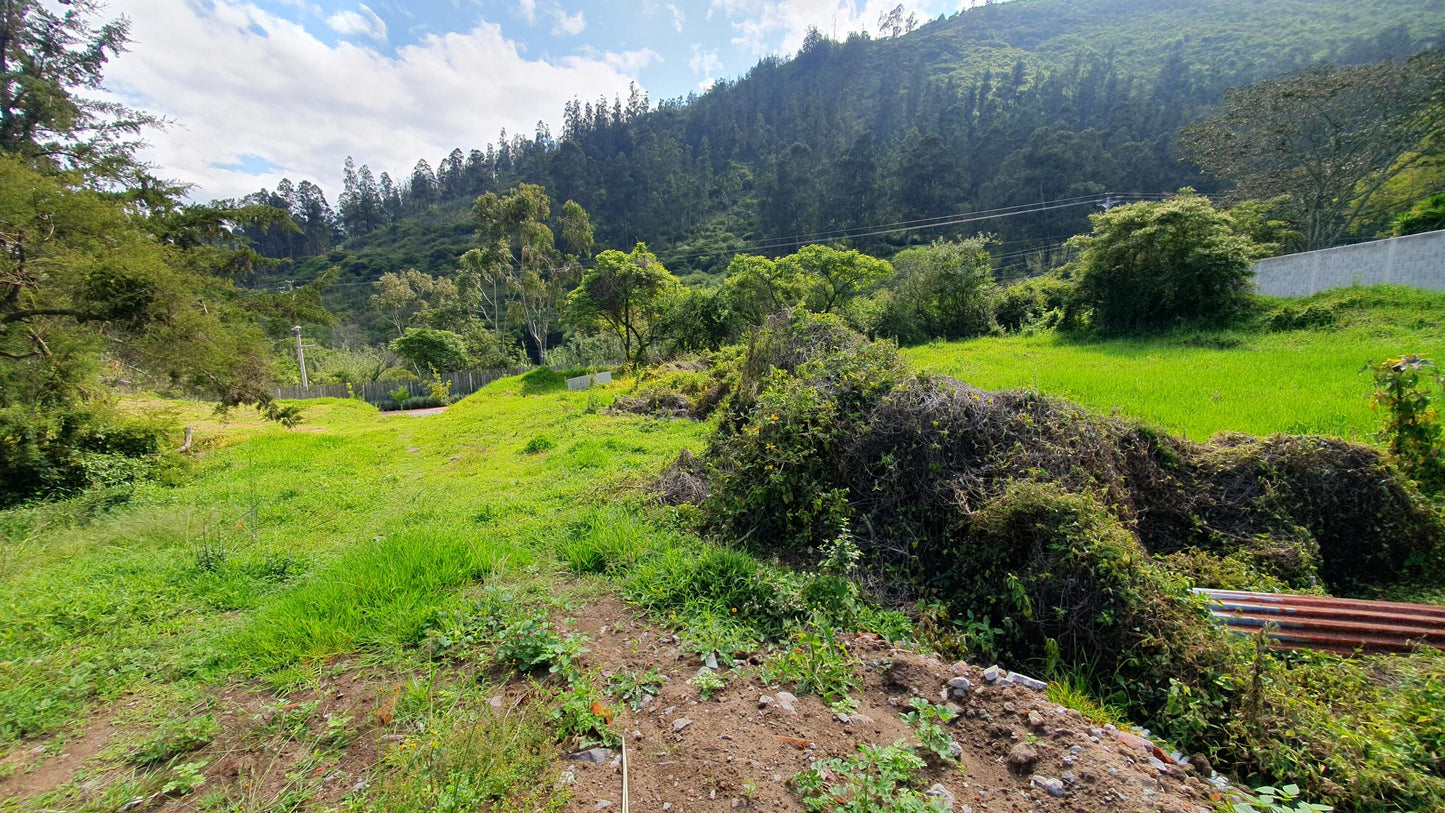 SE VENDE TERRENO EN TUMBACO DENTRO DEL CONJUNTO PACHOSALAS