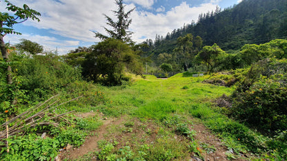 SE VENDE TERRENO EN TUMBACO DENTRO DEL CONJUNTO PACHOSALAS