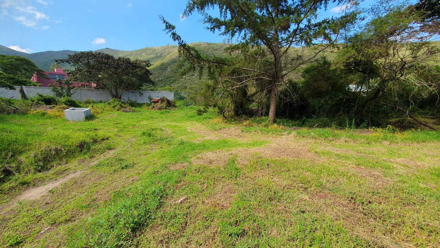 SE VENDE TERRENO EN TUMBACO DENTRO DEL CONJUNTO PACHOSALAS