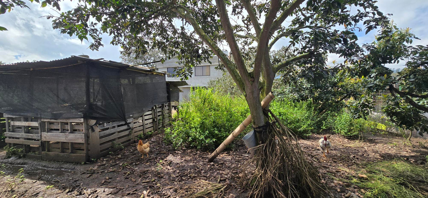 Se Vende Terreno en Tababela