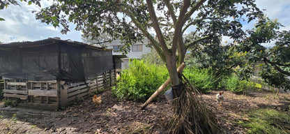 Se Vende Terreno en Tababela