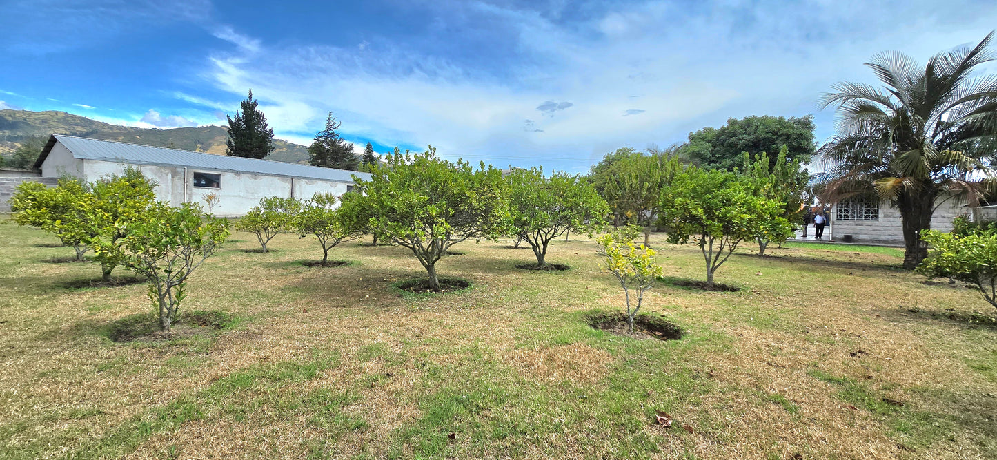 SE VENDE TERRENO CON GALPONES EN YARUQUI