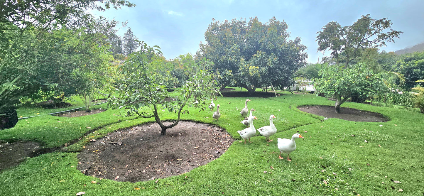 SE VENDE TERRENO EN GUAYLLABAMBA