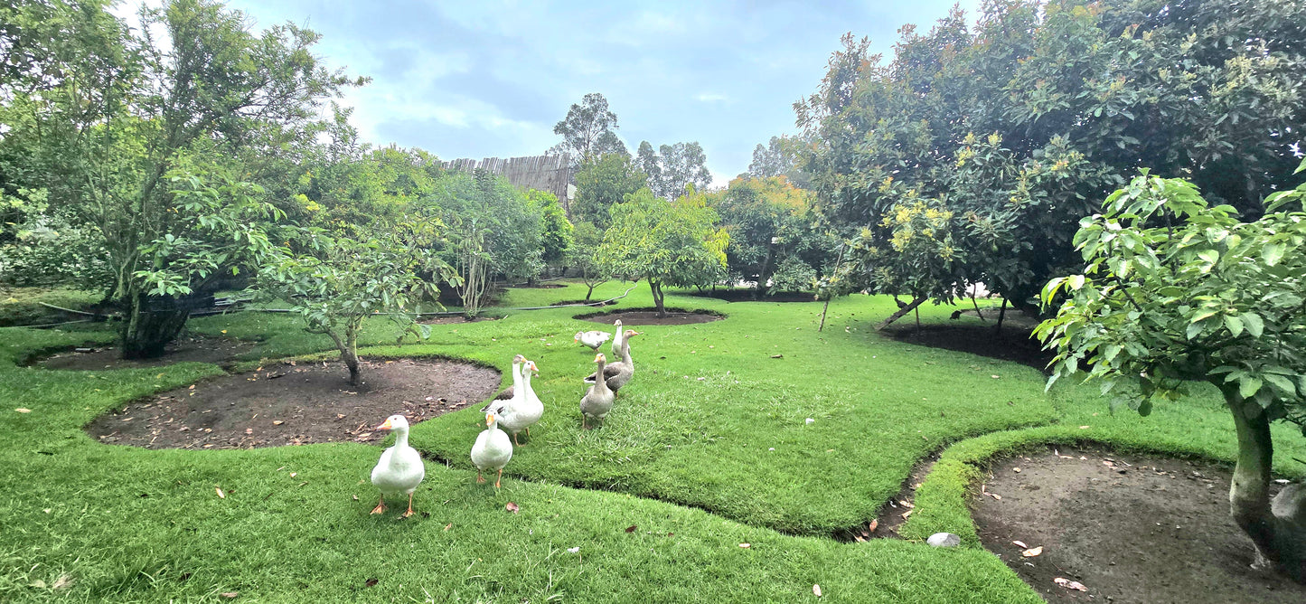 SE VENDE TERRENO EN GUAYLLABAMBA