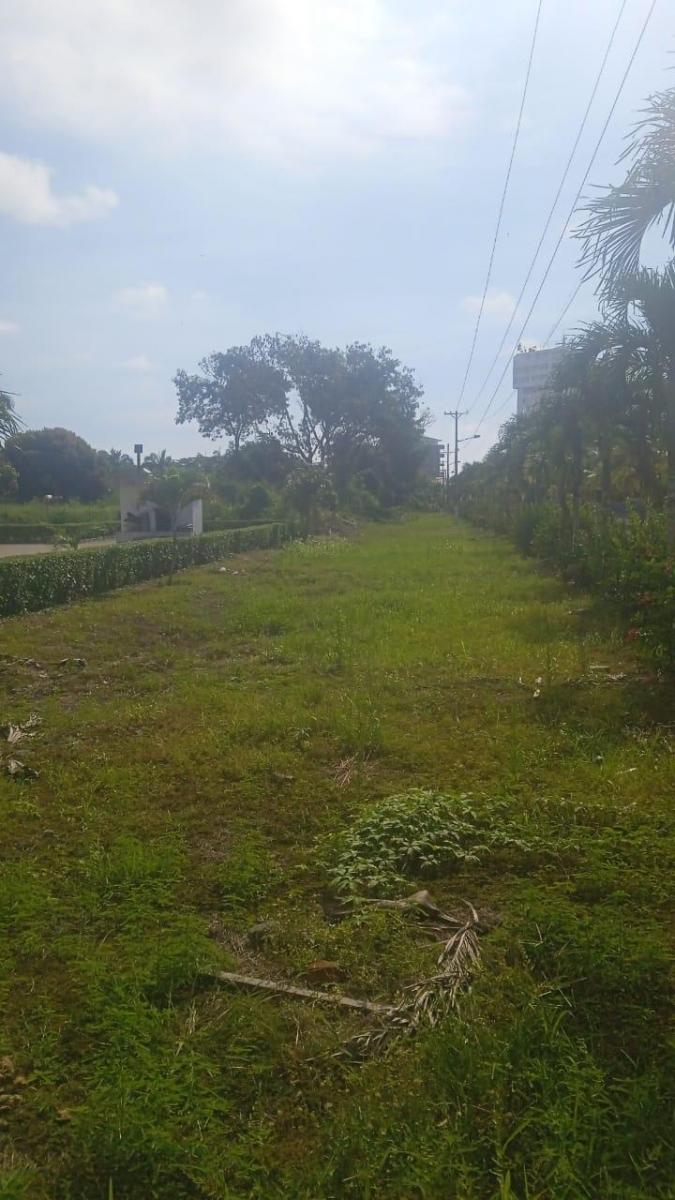 TERRENO EN CASABLANCA; ESMERALDAS Lote · 1m²