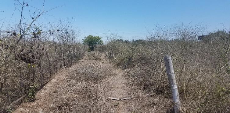 SE VENDE TERRENO EN MANTA PROVINCIA DE MANABI.