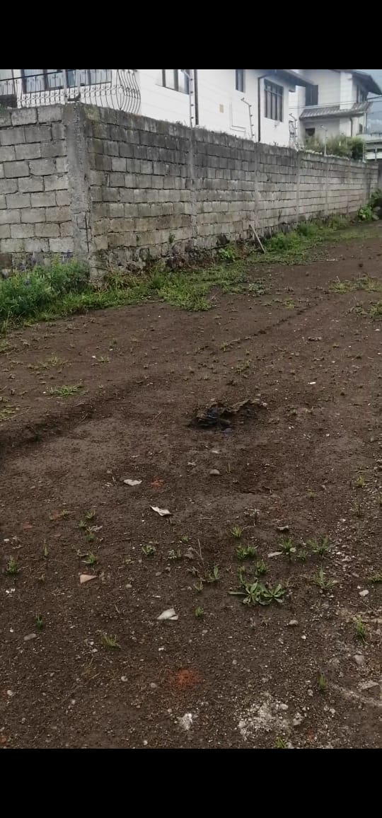 SE VENDE TERRENO SECTOR PARQUE BICENTENARIO - ANTIGUO AEROPUERTO