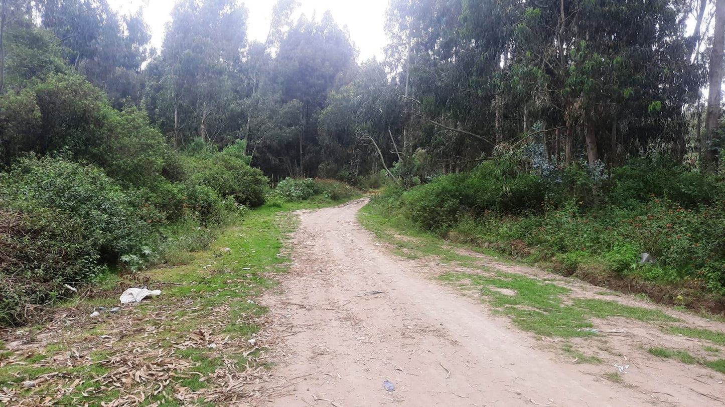 SE VENDE HACIENDA- QUINTA - FINCA O TERRENO EN EL CANTÓN SALCEDO PROVINCIA DE COTOPAXI.