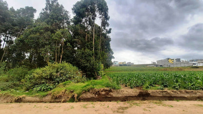 SE VENDE HACIENDA- QUINTA - FINCA O TERRENO EN EL CANTÓN SALCEDO PROVINCIA DE COTOPAXI.