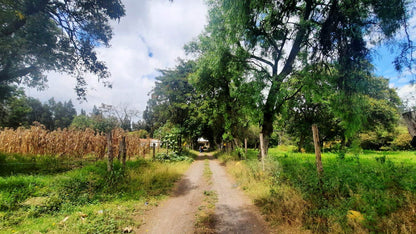 SE VENDE HACIENDA- QUINTA - FINCA O TERRENO EN EL CANTÓN SALCEDO PROVINCIA DE COTOPAXI.