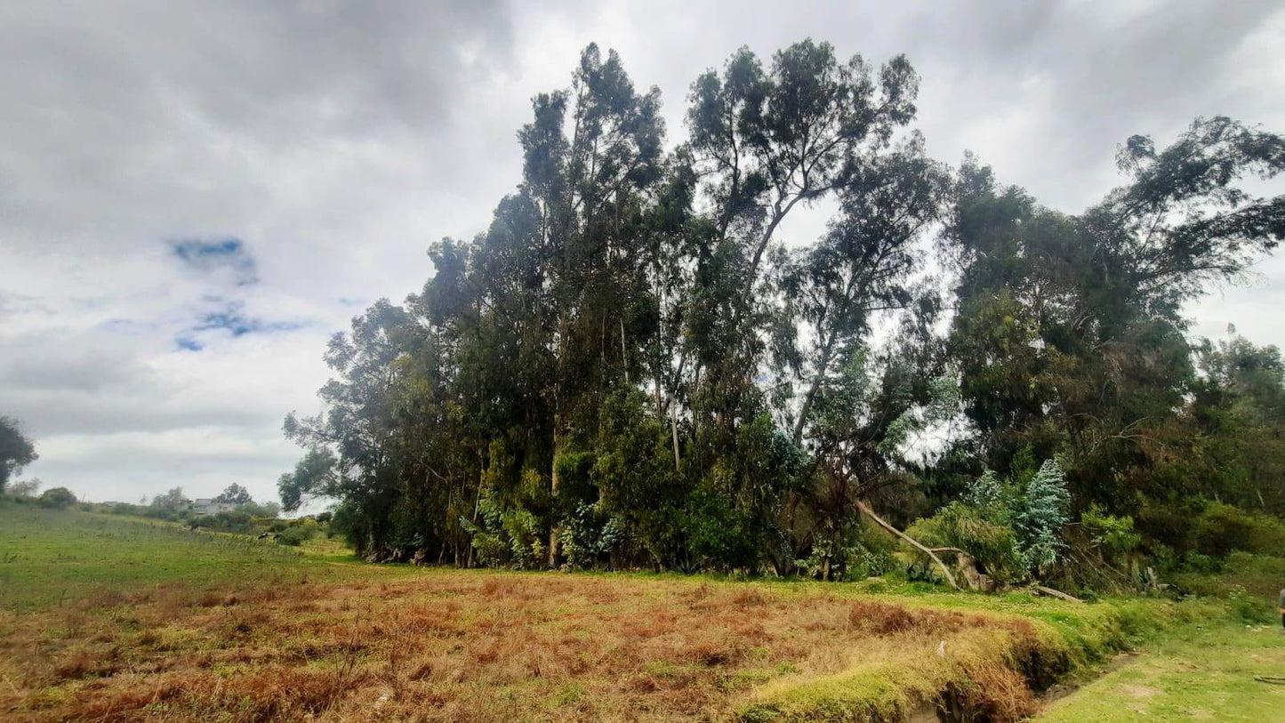 SE VENDE HACIENDA- QUINTA - FINCA O TERRENO EN EL CANTÓN SALCEDO PROVINCIA DE COTOPAXI.