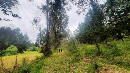 SE VENDE HACIENDA- QUINTA - FINCA O TERRENO EN EL CANTÓN SALCEDO PROVINCIA DE COTOPAXI.